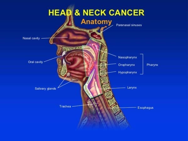 Tìm hiểu bệnh ung thư đầu cổ