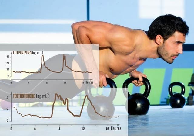 an-hoa-tu-thuoc-tang-co-bap (2)