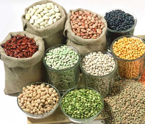 Sỏi thận kiêng những gì các loại thuốc nam nhưng không khỏi