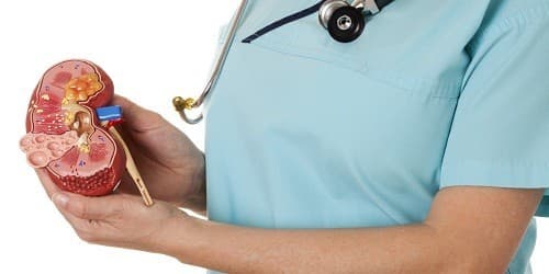 Đơn vị thận hay nephron là đơn vị cấu tạo và chức năng cơ bản của thận. 