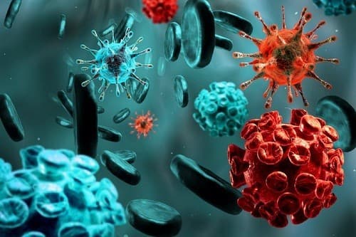 Bệnh lupus ban đỏ hệ thống không liên quan đến một gen nào nhất định nhưng ở những người mắc bệnh thường có bố mẹ, anh chị em... mắc một số bệnh tự nhiễm.