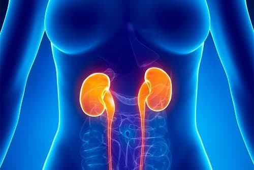 Điều trị suy thận cấp tính càng sớm thì cơ hội điều trị thành công càng cao.