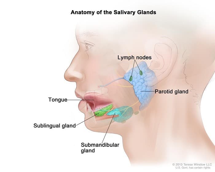 ung-thu-tuyen-nuoc-bot