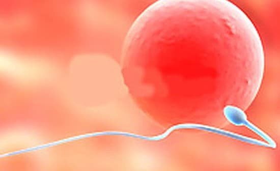 xet-nghiem-tinh-dich-do.2jpg