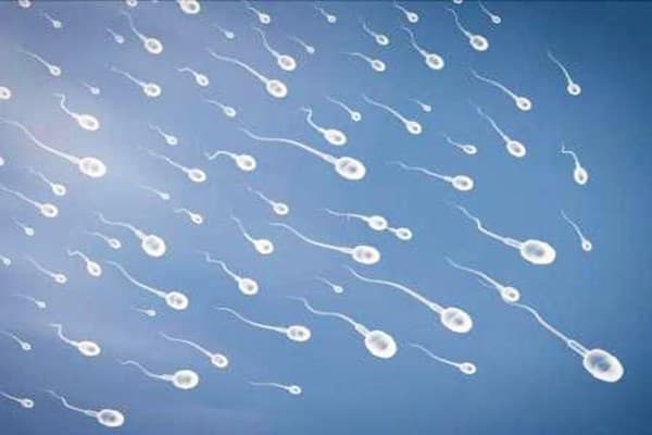 xet-nghiem-tinh-dich-do