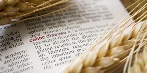 Người bệnh Celliac không thể dung nạp gluten, một loại protein có trong lúa mì, lúa mạch đen và lúa mạch.