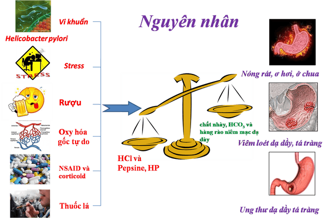Những câu hỏi thường gặp về thuốc