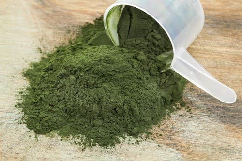 Tảo spirulina hay tảo xoăn là một loại vi tảo dạng sợi xoắn màu xanh lục, chỉ có thể quan sát thấy hình xoắn sợi do nhiều tế bào cấu thành dưới kính hiển vi .