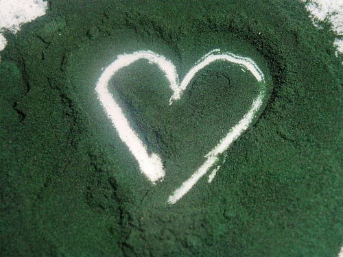 Tảo Spirulina thường không có tác dụng phụ nào đáng kể nhưng những người mắc các bệnh rối loạn tự miễn hoặc bệnh phenylketonuria niệu không nên sử dụng.