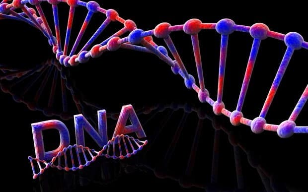 Gen đột biến làm tăng nguy cơ mắc bệnh ung thư đại tràng.