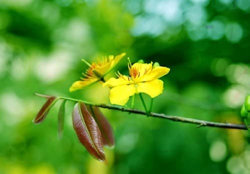 viec-nen-lam-dau-xuan-cho-ca-nam-may-man