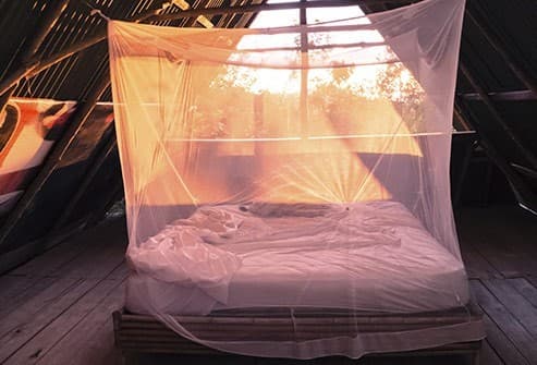 Bệnh sốt rét lây truyền qua đường máu, chủ yếu là do muỗi Anopheles truyền