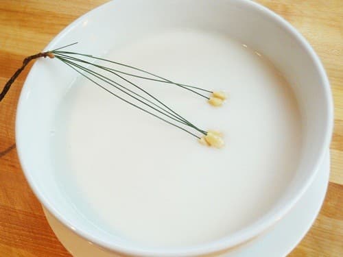 Mổ dây chằng nên ăn gì? Trong một vài ngày đầu người bệnh chỉ nên ăn thức ăn dạng lỏng