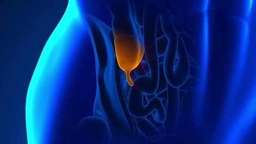 Tìm hiểu nguyên nhân gây viêm ruột thừa để có các biện pháp phòng tránh và xử trí kịp thời là điều vô cùng cần thiết.