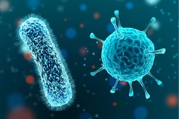 Nguyên nhân chủ yếu gây viêm amidan là do các tác nhân có hại như vi khuẩn, virus...
