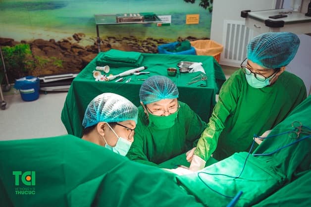 Bệnh trĩ điều trị ngoại khoa