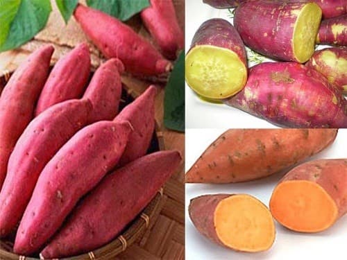 chế độ ăn uống cho người bệnh trĩ 