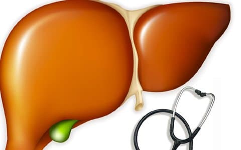 ruou bia sat thu cua gan.jpg1