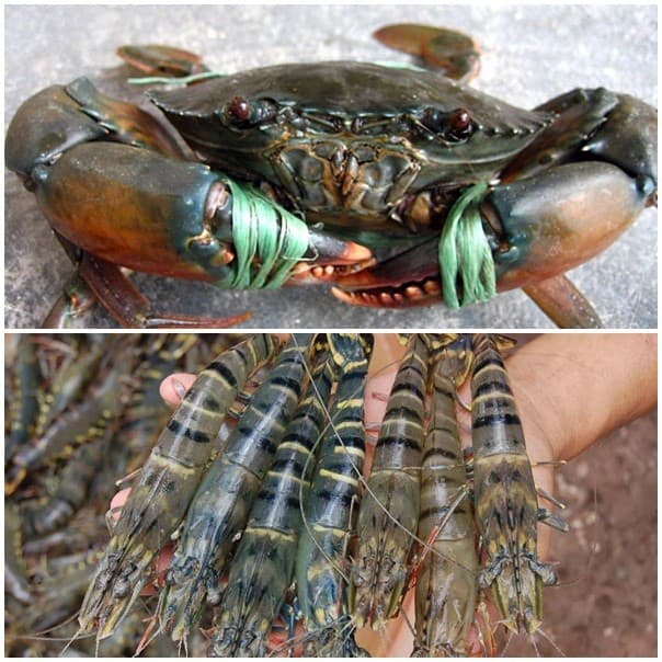 Canxi không chỉ giúp thai nhi phát triển xương và răng mà còn giúp giảm nguy cơ huyết áp cao cho mẹ. Đặc biệt, chế độ ăn uống giàu canxi có thể giúp giảm nguy cơ phát triển chứng tiền sản giật trong giai đoạn thai kỳ và ngăn chặn các biến chứng nguy hiểm của bệnh cho mẹ và bé. Nguồn thực phẩm dồi dào canxi mà các chị em không nên từ chối bao gồm: thịt bò, súp lơ xanh, sữa chua, nước cam, tôm, cua, cá hồi…