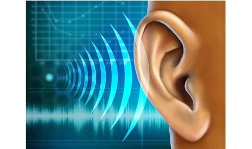 Một số bệnh lý như xốp xơ tai, bệnh Meniere, cao huyết áp, bệnh tim mạch, các vấm đề về tuần hoàn,... có thể là nguyên nhân gây ù tai. 