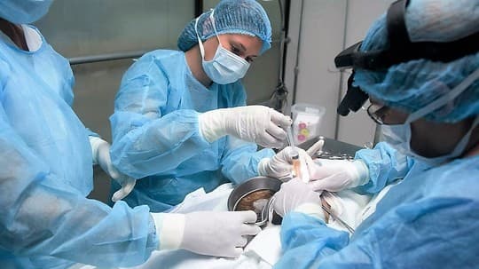 Khảo sát cho thấy biện pháp mổ bắt con có thể khiến trẻ dễ bị béo phì hơn so với sinh bình thường. Ảnh BBC