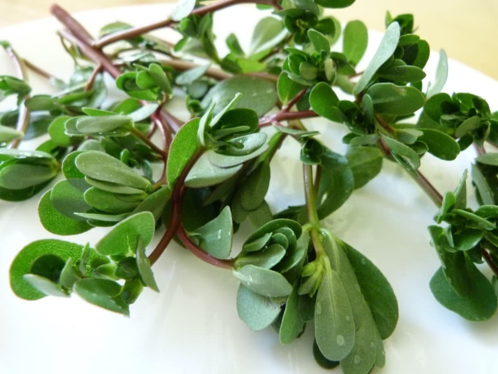 nhung-thuc-pham-de-gay-say-thai3