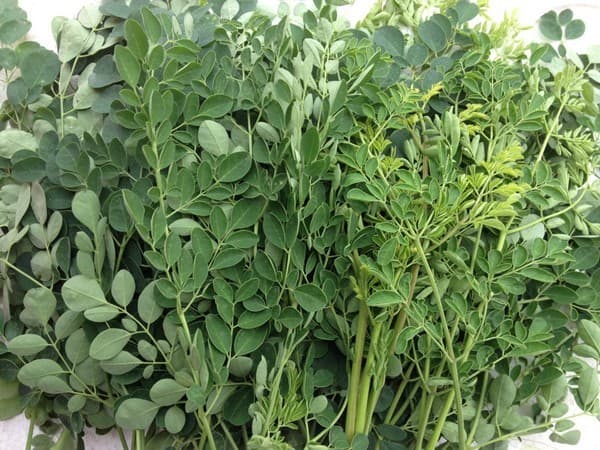 nhung-thuc-pham-de-gay-say-thai6