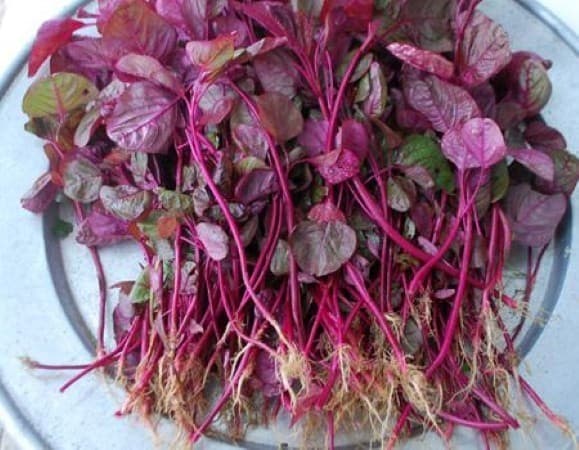 nhung-thuc-pham-mau-do-tot-cho-me-bau8