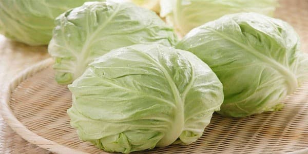 nhung-thuc-pham-vang-cho-la-gan-cua-ban6