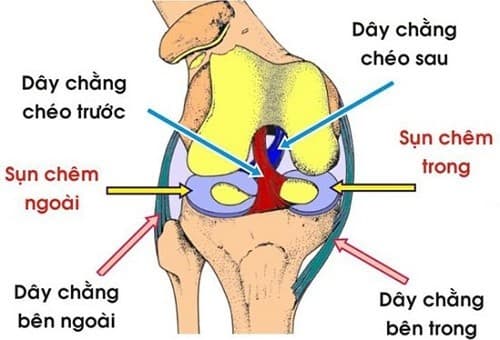 Giãn dây chằng đầu gối là bệnh thường gặp ở mọi lứa tuổi, gây ra những cơn đau nhức