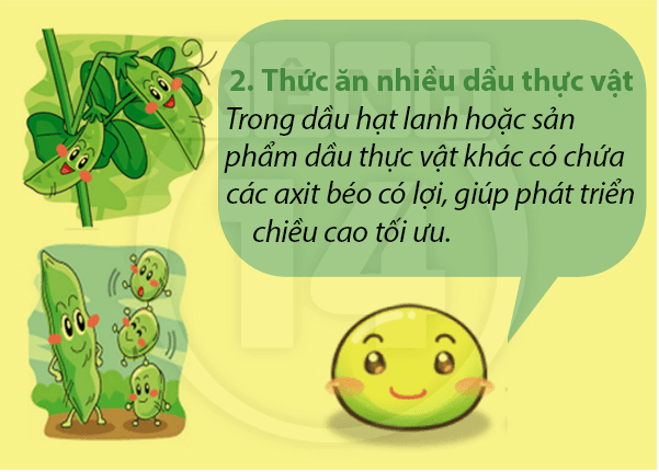 an-gi-de-tang-chieu-cao2