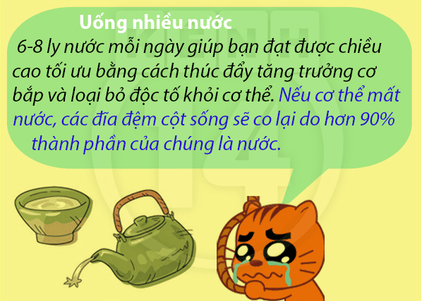 an-gi-de-tang-chieu-cao4