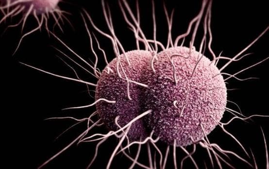 benh-lau-de-gay-vo-sinh-o-ca-nam-va-nu