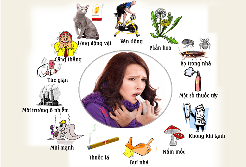 Có nhiều nguyên nhân gây ra các bệnh về phổi - phế quản như dị ứng với phấn hoa, lông vật nuôi, không khí lạnh...