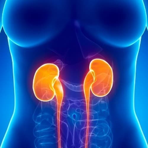 nguyen-nhan-gay-suy-than3