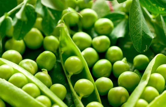 nhung-mon-an-cuc-bo-duong-cho-ba-bau1