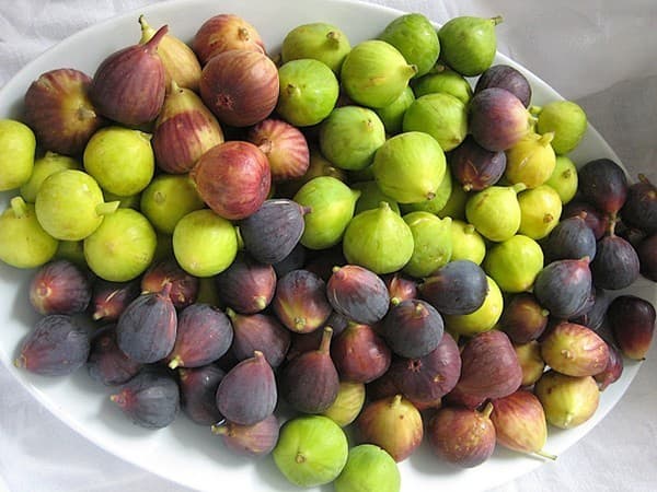 nhung-mon-an-cuc-bo-duong-cho-ba-bau15