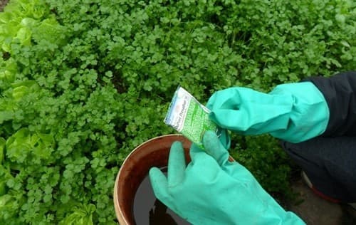 nhung-nguyen-nhan-gay-vo-sinh-o-nam-gioi10