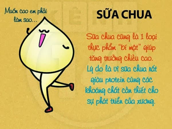 thuc-don-giup-tang-chieu-cao_sua-chua