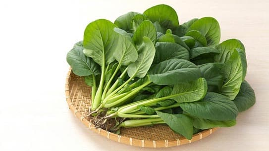 thuc-pham-giau-acid-folic