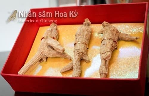 thuc-pham-tot-cho-he-tim-mach10