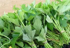 thuc-pham-tot-cho-nguoi-dang-cho-con-bu2