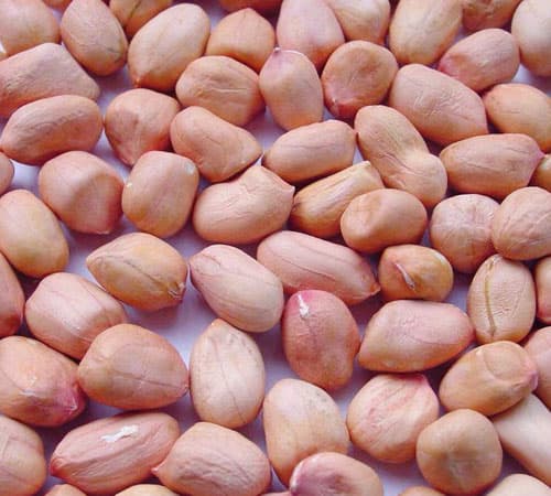 thuc-pham-tot-cho-nguoi-mo-mau9