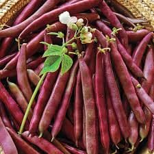 thuc-pham-tot-cho-tri-nao-thai-nhi4