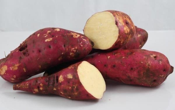 thuc-pham-tri-tao-bon-cho-ba-bau5