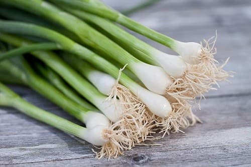 Cũng giống như tỏi, hành lá rất giàu hợp chất tăng cường miễn dịch mạnh mẽ, là một phương thuốc tuyệt vời có khả năng ngăn ngừa các bệnh nhiễm trùng đường hô hấp