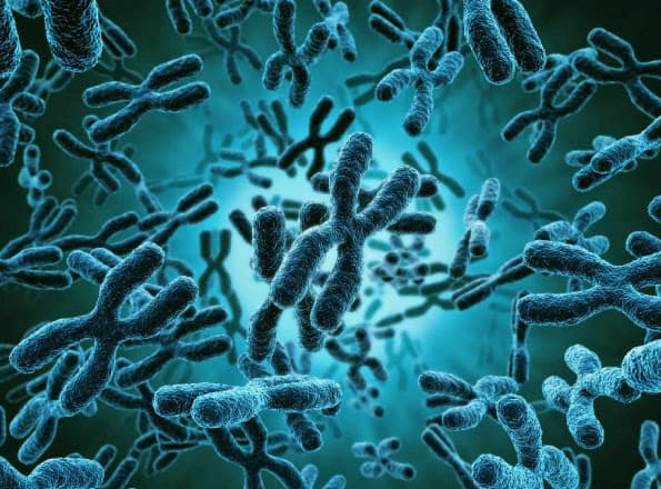 vo-sinh-do-di-truyen2