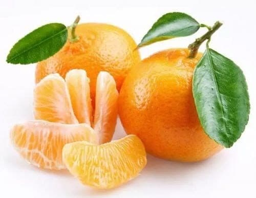 nguoi-benh-than-kieng-an-gi3