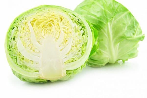 nhung-thuc-pham-chua-khang-sinh-tu-nhien3