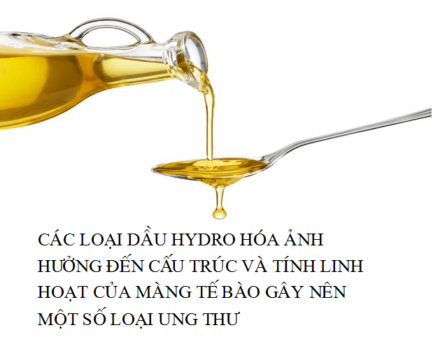 nhung-thuc-pham-lam-tang-nguy-co-ung-thu11